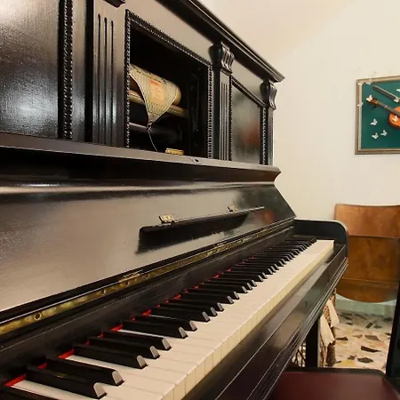 La Tana Del Grillo Parlante *